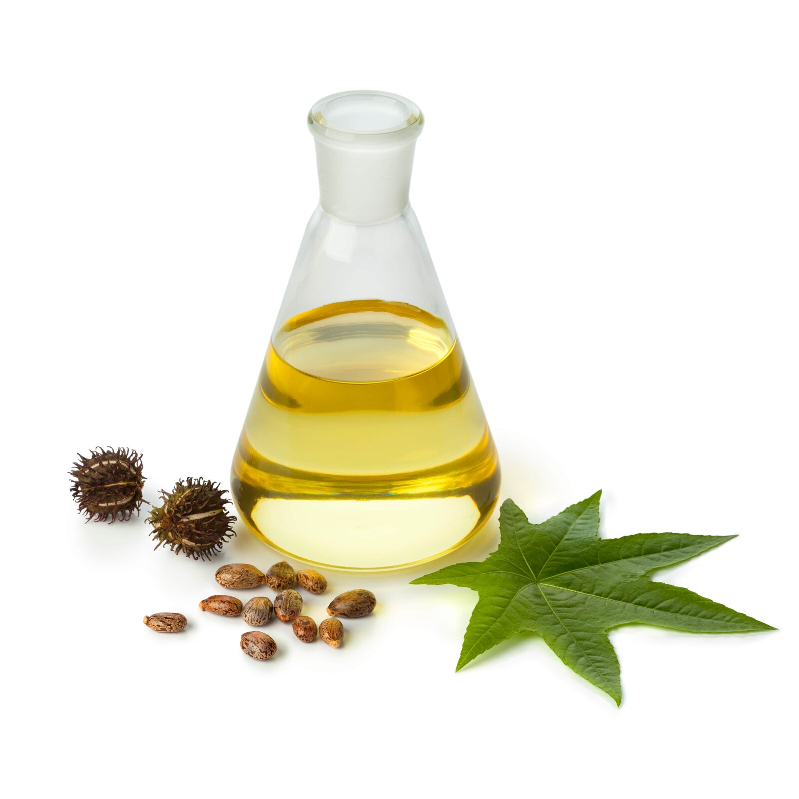 Botella de aceite de ricino con frutos, semillas y hoja, aislada sobre fondo blanco